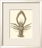 Sepia Lobster II Láminas