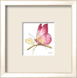 Papillon rose Posters par Peggy Abrams