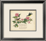Nectarina Verse Prints by Nathaniel Tweet