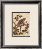 Monkey in a Tree I Art by Dianne Krumel