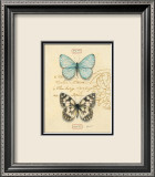 Duet Papillon Arte por Chad Barrett Duet Papillon Arte por Chad Barrett