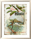 A Trip to Hawaii Framed Giclee Print