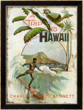 A Trip to Hawaii Framed Giclee Print