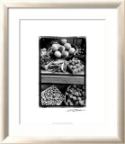 Farmer's Market II Lámina por Laura Denardo Farmer's Market II Lámina por Laura Denardo