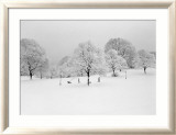 Prospect Park Trees Plakater av Henri Silberman Prospect Park Trees Plakater av Henri Silberman