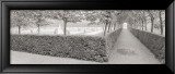 Hornbeam Harbor Art par Gomes 