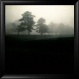 Etude d'arbre dans le brouillard II Affiches par Jamie Cook