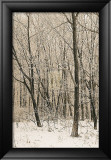 Woodland Snow II Plakater av Adam Brock