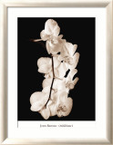 Danse d'orchidées I Affiches par John Rehner