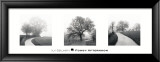 Foggy Afternoon Affiches par Ily Szilagyi