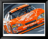 Tony Stewart Lámina enmarcada de edición limitada por Colin Carter