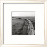The Boardwalk, Early Prints by Dorothy Kerper Monnelly