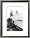 Conservatory IV Poster by Laura Denardo