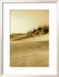 Anastasia Dunes I Posters par Rene Griffith