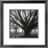 Oak Grove, Winter Arte por William Guion Oak Grove, Winter Arte por William Guion