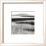 Nut Island, Salt Marsh Print by Dorothy Kerper Monnelly