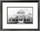 Conservatory III Print by Laura Denardo