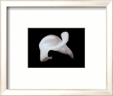 Calla with Stem Láminas Calla with Stem Láminas