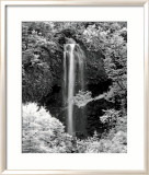 Nature's Jewel I Affiches par Mike Jones