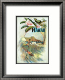 A Trip to Hawaii Poster