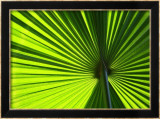 Leaf I Prints by Ortwin Klipp