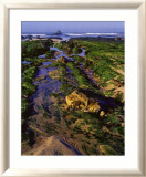 Low Tide Láminas por John Gavrilis