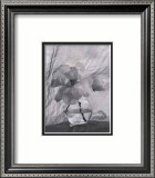 Magnolia Láminas por Nancy Gillespie Magnolia Láminas por Nancy Gillespie