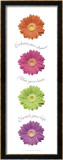 Gerberas Láminas por Anthony Matos Gerberas Láminas por Anthony Matos