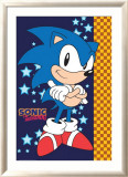Sonic, el erizo Láminas