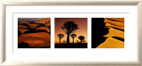 Ochre Nature Prints by Alexander Redling