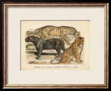 Animaux d'Afrique, Panthere Art