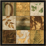 Nature's Touch II Posters par Chris Donovan