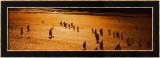 Fastnet Race, Admiral`s Cup Affiches par Carlo Borlenghi
