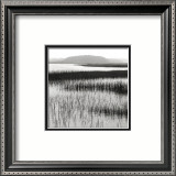Nut Island, Salt Marsh Affiche par Dorothy Kerper Monnelly