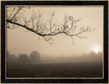Parish Hill Sunrise Affiche par Christine Triebert