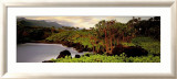 Haleakala Rim Láminas por Susan Drinker