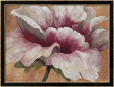 Pink Begonia Kunst af Maria Torróntegui