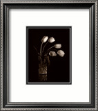 Tulipes dramatiques Affiche par Mark Polomchak