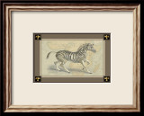 Zebra with Border II Posters