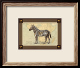 Zebra with Border I Poster