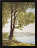 Sunlit Trees I Posters by John Folchi
