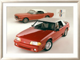 Ford Mustang Convertibles Lámina giclée enmarcada