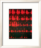 Red Explosion, c.1963 Posters por Andy Warhol