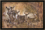 African Savannah I Prints by Marta Wiley