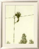 Track and Field, Pole Vault Estampe encadrée