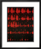 Red Explosion, c.1963 Posters by Andy Warhol