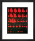 Red Explosion, c.1963 Pôsters por Andy Warhol