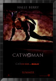 Catwoman (Advance) Kunst