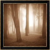 Woods Study II Affiches par Alan Klug