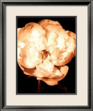 Beautiful Flower III Poster von Gerard Van Hal